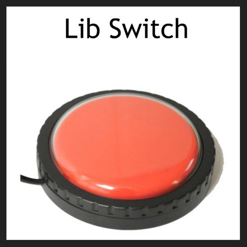 lib switch