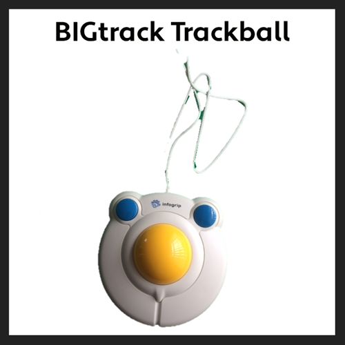 Big Track Trackball